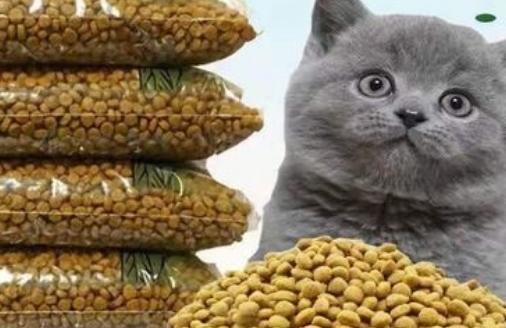 语森忆猫粮是天然粮吗 语森忆猫粮是天然粮吗