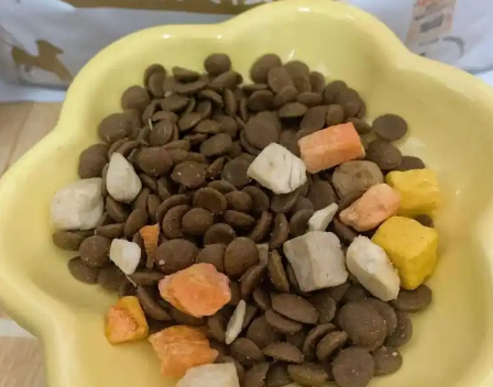 银合鱼说狗粮——爱宠的健康成长之选‌