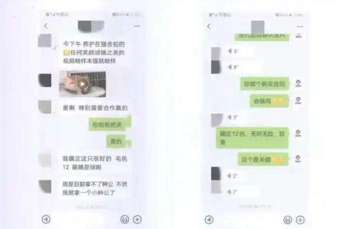 网购猫咪货不对板 退一赔三得到支持