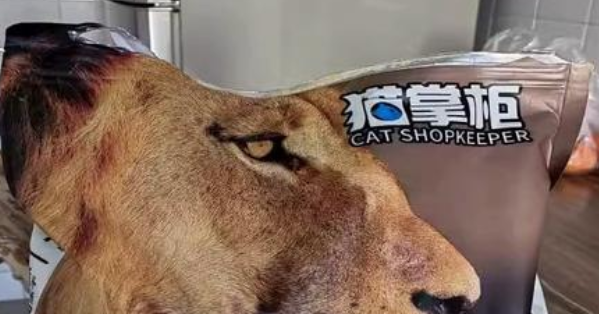 猫掌柜猫粮和冠能猫粮哪个好 猫掌柜猫粮和冠能猫粮哪个好