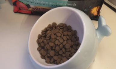 卡农塔夫猫粮是天然粮吗 卡农塔夫猫粮是天然粮吗