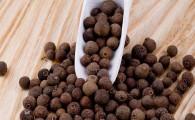 UNIONVILL猫粮是大品牌吗