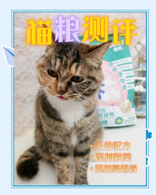 怡亲无谷猫粮大测评来啦：秋葵成分引广泛关注