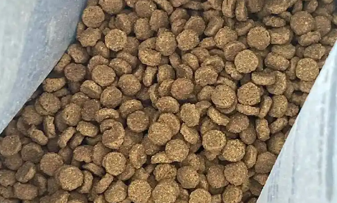 派兜猫粮的介绍，快来看看