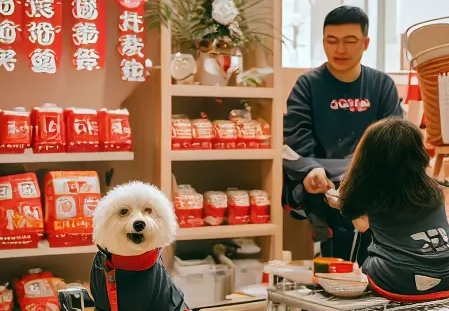 ‌泊美鲜宠物服务，你们了解多少？