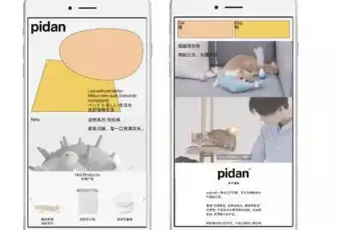 pidan品牌形象升级，拓充新品类