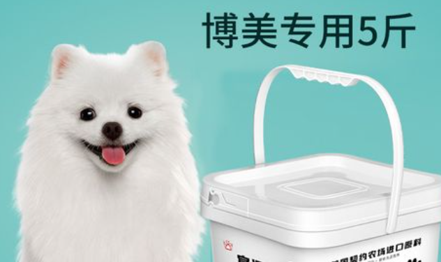 宴遇豪门狗粮：比熊犬的专属美食