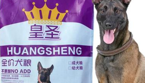 皇圣狗粮和倍内菲哪个好