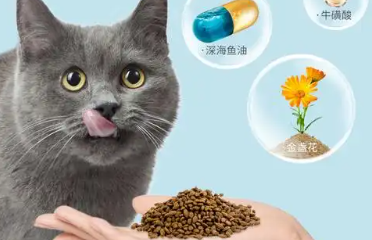 宠乐岛猫粮的介绍,速来了解~ 宠乐岛猫粮的介绍,速来了解~