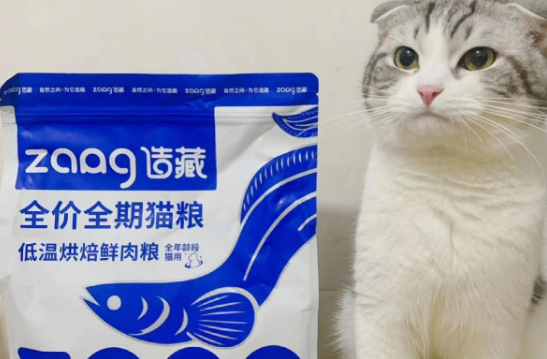 造藏猫粮属于什么档次 造藏猫粮属于什么档次