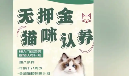 免费领养暗藏天价陷阱？ “猫贷”背后的猫腻