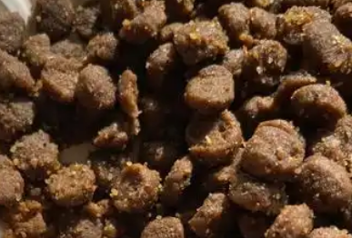 咪力咖猫粮注重品质与安全性 咪力咖猫粮注重品质与安全性