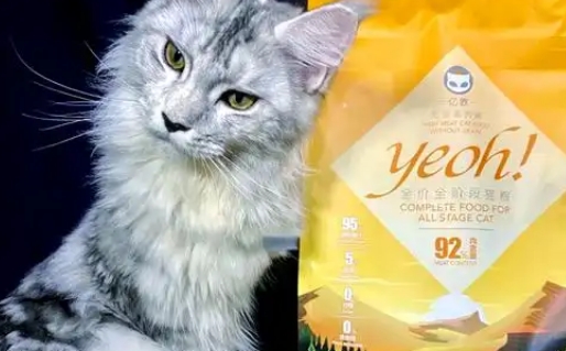 亿欧猫粮是哪国的牌子 亿欧猫粮是哪国的牌子