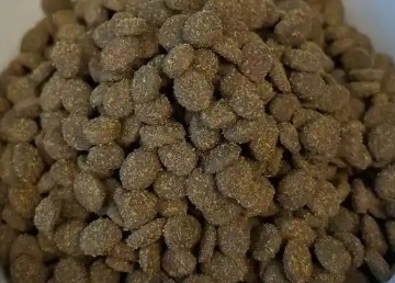 语森忆猫粮好吃吗 语森忆猫粮好吃吗