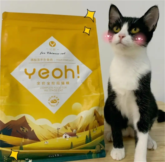 亿欧猫粮怎么样