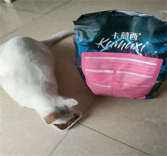 卡慕西是什么品牌