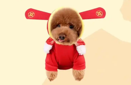 不知道‌旺狗财猫‌是什么品牌？来这瞧瞧