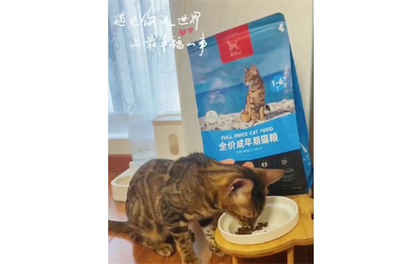 顺爽猫粮味道如何