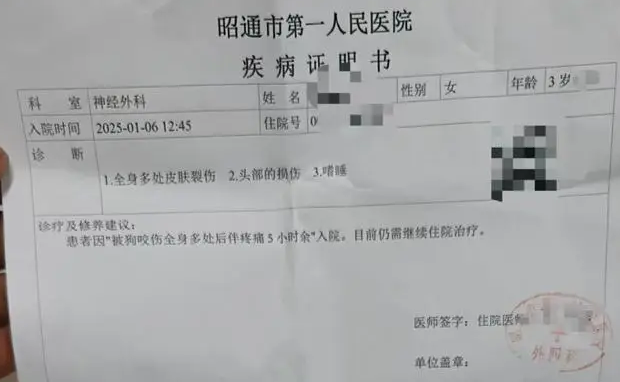 3岁女童遭狗群撕咬，已找到2只涉事狗的主人