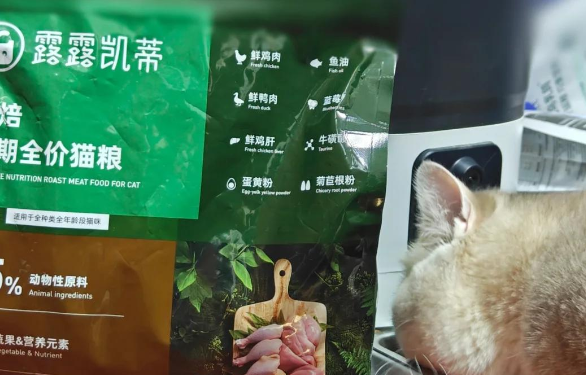 露露凯蒂猫粮质量怎么样