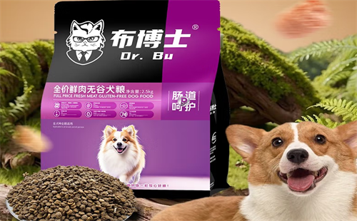 布博士