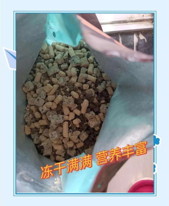 新手养猫的必备！畅享优品全价猫粮推荐