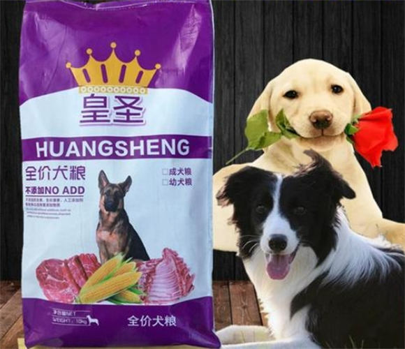 皇圣狗粮适合泰迪狗吃吗 皇圣狗粮适合泰迪狗吃吗