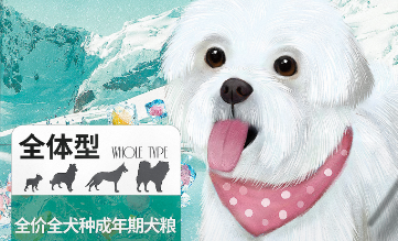 伊凡哲宠物粮的介绍，速来了解