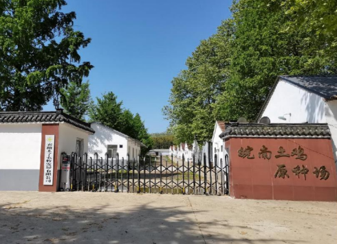想重温儿时“鲜美”的记忆,试试杨博士土鸡 想重温儿时“鲜美”的记忆,试试杨博士土鸡