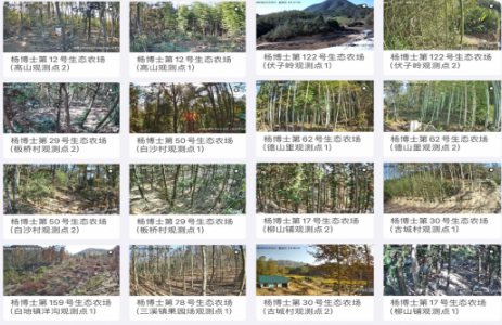 大吉大利,过年吃鸡!购买品质鸡肉认准杨博士深山散养土鸡 大吉大利,过年吃鸡!购买品质鸡肉认准杨博士深山散养土鸡