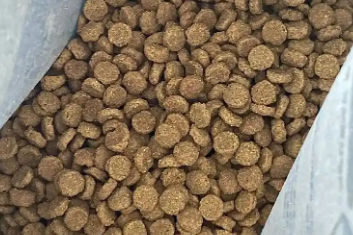 派恩贝猫粮好吗?本文详解! 派恩贝猫粮好吗?本文详解!