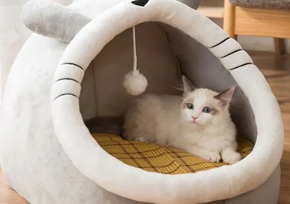坏小宠猫窝质量好吗 坏小宠猫窝质量好吗