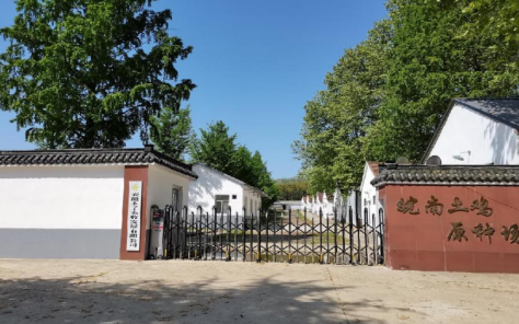 品杨杨博士土鸡，冬季暖身又暖胃，全程溯源更放心