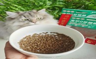 国产猫粮什么牌子好？这款即将上市的怡亲宠物无谷猫粮风很大！