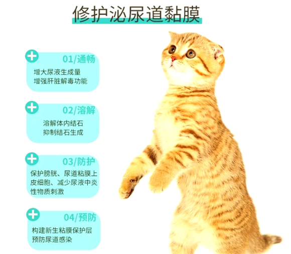 宠物泌尿道结石那些事儿,佑财宠物用品来帮忙! 宠物泌尿道结石那些事儿,佑财宠物用品来帮忙!