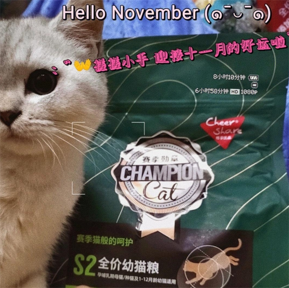 畅享优品猫粮:赛季认证,营养满满 畅享优品猫粮:赛季认证,营养满满