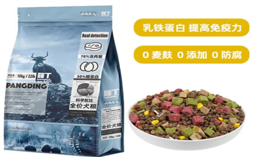 胖丁