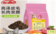 ‌银合鱼说猫粮：爱的滋养，守护喵星人的每一刻‌