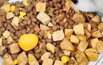 艾益芬狗粮有助于改善宠物的肠道健康