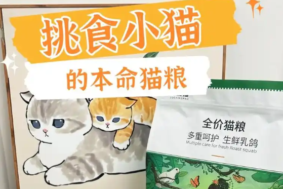觉醒猫猫粮怎么样