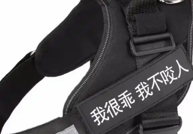 索米拉牵引绳,质量好又实用 索米拉牵引绳,质量好又实用