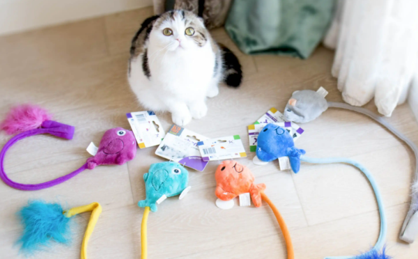 charmingpet逗猫棒好用吗 charmingpet逗猫棒好用吗