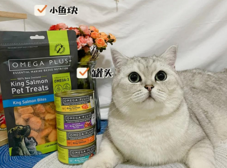 零食推荐!Omega Plus奥鲑冠一口停不下来 零食推荐!Omega Plus奥鲑冠一口停不下来