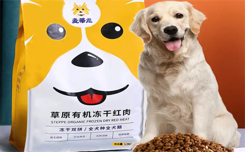 麦蒂龙