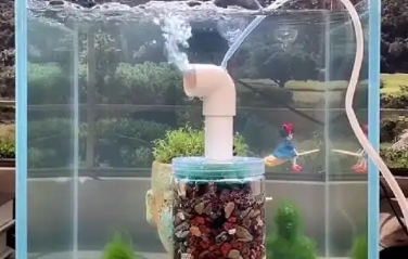 鱼缸增氧设备有哪些