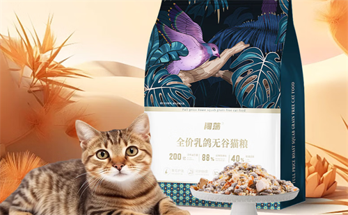 闯荡