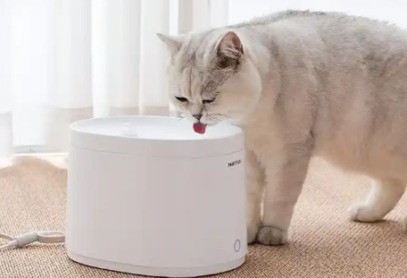 宠物饮水机恒温吗