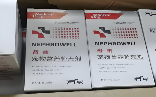 摩登狗