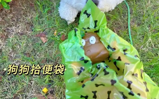 妙普乐狗狗拾便袋怎么样 妙普乐狗狗拾便袋怎么样