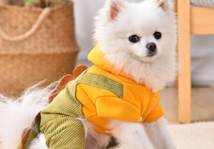 阿莫尔宠物衣服怎么选 阿莫尔宠物衣服怎么选